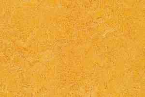 Линолеум Forbo Marmoleum Marbled Real 3225 / 322535 Dandelion фото  | FLOORDEALER